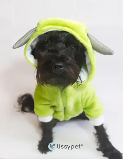Abrigo Monster
