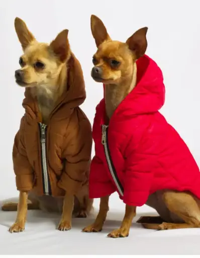 Chaqueta Thermik 